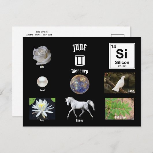 June Postcard Briefkaart (Voorkant / Achterkant)