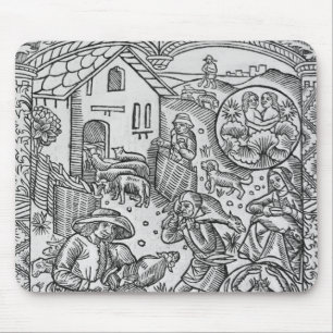 June, schaap shearing, Gemini Muismat