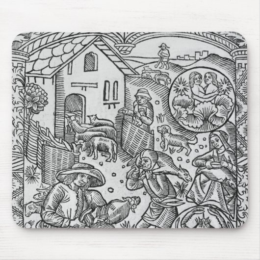 June, schaap shearing, Gemini Muismat (Voorkant)