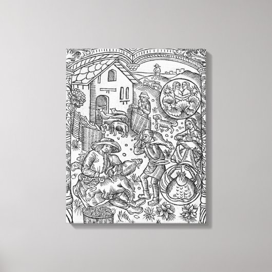 June, schapen scheren, Tweelingen Canvas Afdruk (Voorkant)