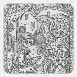 June, schapen scheren, Tweelingen Vierkante Sticker
