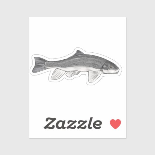 June Sucker Fish Vector Illustratie Sticker (Vel)