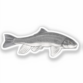 June Sucker Fish Vector Illustratie Sticker