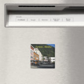 juneamagnet magneet (Insitu (Vaatwasser))