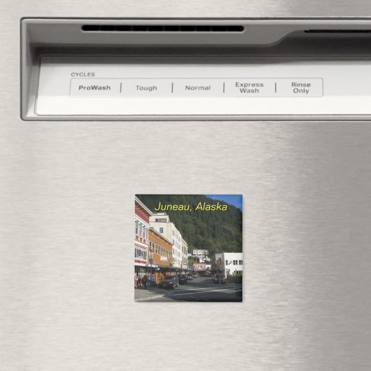 juneamagnet magneet (Insitu (Vaatwasser))