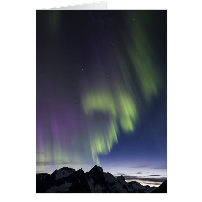 Juneau Icefield noordelijke lichten (blanco binnen (Voorkant)