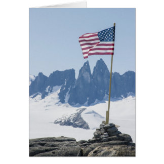 Juneau Icefield Taku Towers (blanco binnenin)