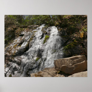 Juney Whank Falls in de Smoky Mountains Poster