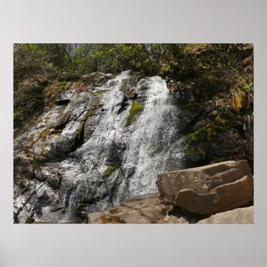 Juney Whank Falls in de Smoky Mountains Poster (Voorkant)