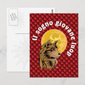 junger träumender Wolf Postkarte Briefkaart (Voorkant / Achterkant)