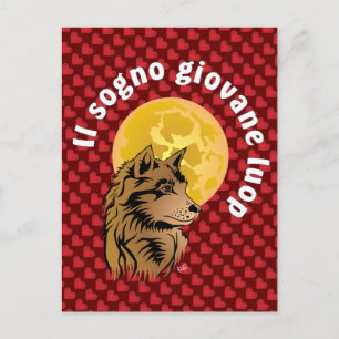 junger träumender Wolf Postkarte Briefkaart