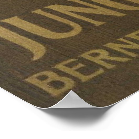 Jungfrau Train Travel  Poster Zwitserland (Hoek)