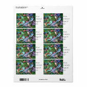 Jungle Birds of Asia Label (Full Sheet)