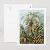 Jungle Wild Forest Vintage Travel Postcard Briefkaart (Voorkant / Achterkant)