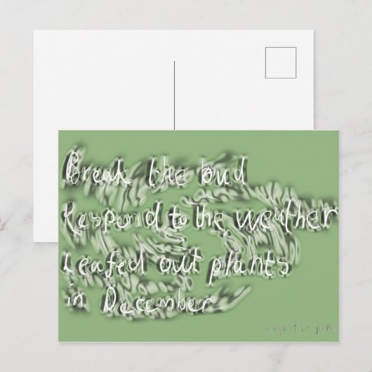 juni briefkaart (Voorkant / Achterkant)