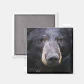 Juni door Nancy Liu magneet (Voorkant / Achterkant)