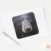 Juni door Nancy Liu - sticker (Envelop)