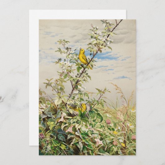 juni | Fidelia Bridges (Voorkant / Achterkant)