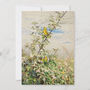 juni   Fidelia Bridges