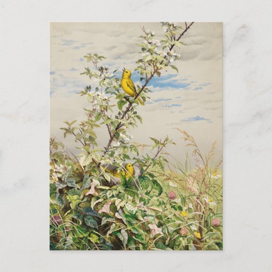 juni | Fidelia Bridges Briefkaart (Voorkant)