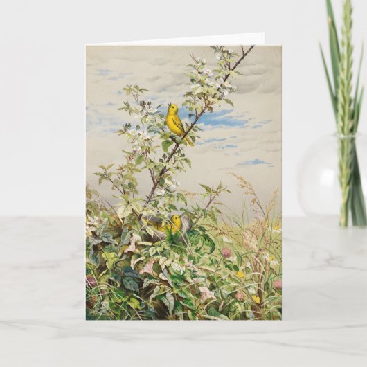 juni | Fidelia Bridges Kaart (Voorkant)