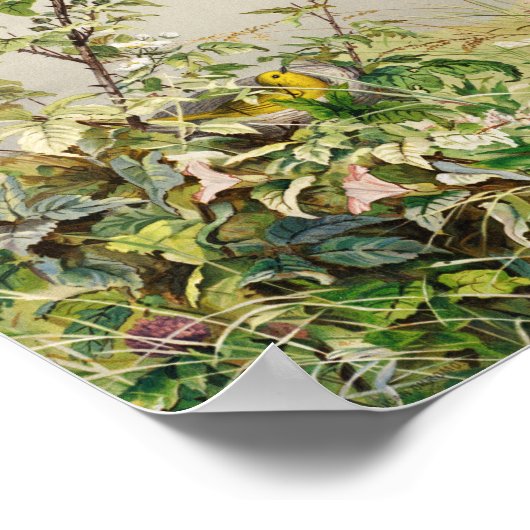 juni | Fidelia Bridges Poster (Hoek)