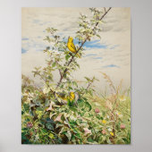 juni | Fidelia Bridges Poster (Voorkant)