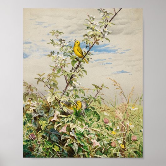 juni | Fidelia Bridges Poster (Voorkant)