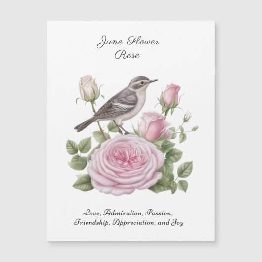 Juni Geboortemaand Bloem Roos Elegante Verjaardag (Voorkant)