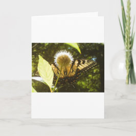 Juni Koning Wenskaart Kaart