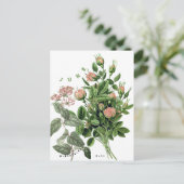 Juni Maand Bloemen Honeysuckle Roos Briefkaart (Staand voorkant)