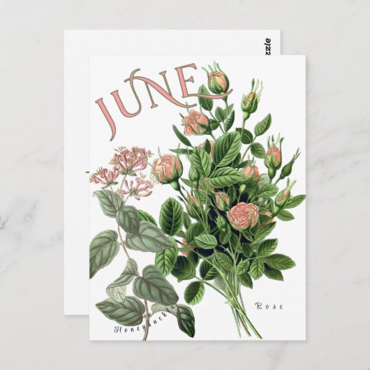 Juni Maand Bloemen Honeysuckle Roos Fancy Briefkaart (Voorkant / Achterkant)
