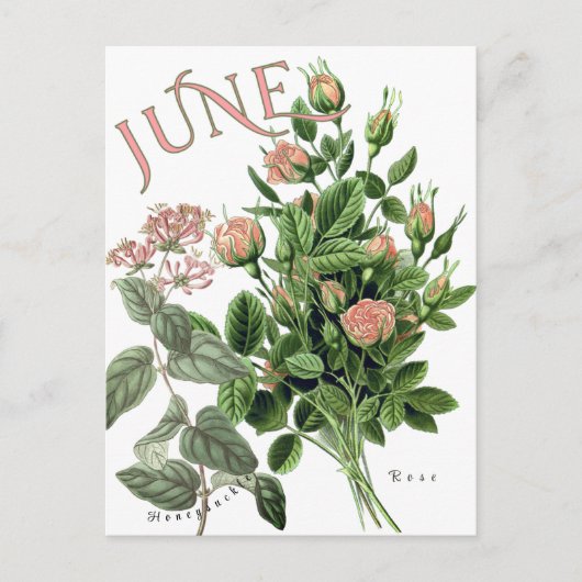 Juni Maand Bloemen Honeysuckle Roos Fancy Briefkaart (Voorkant)