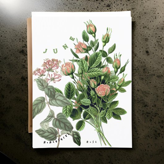 Juni Maand Bloemen Kamperfoelie Roos Briefkaart