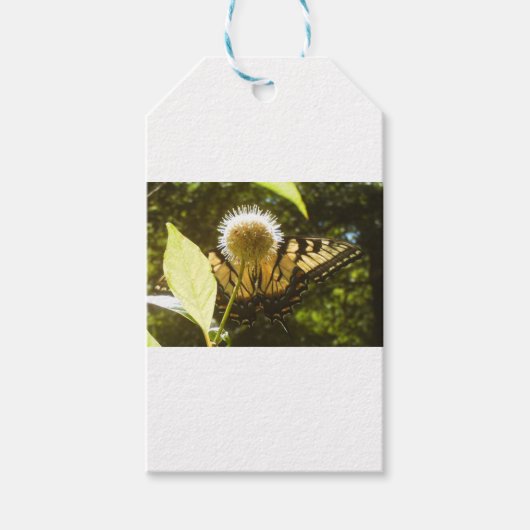 Juni Monarch Bloem Cadeaubijsluiter Cadeaulabel (Voorkant)