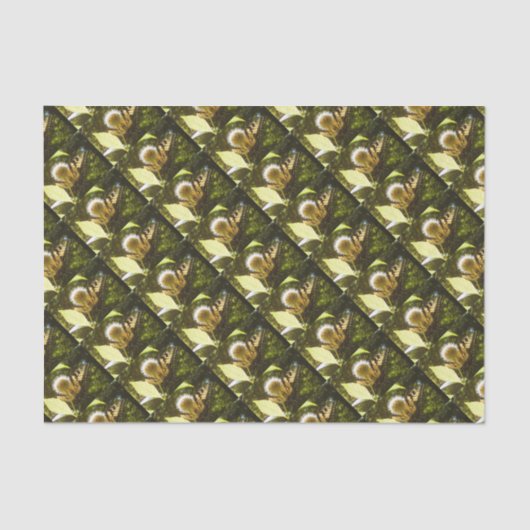 Juni Monarch Bloem Tissuepapier (Voorkant)