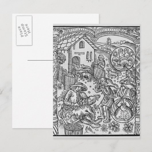 Juni, schapen het scheren, Tweeling Briefkaart (Voorkant / Achterkant)