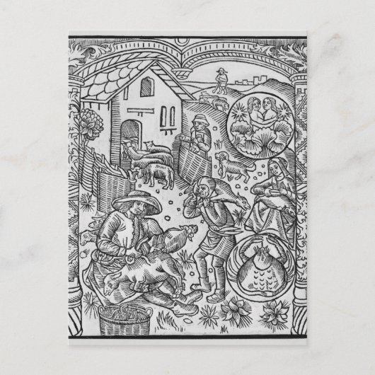 Juni, schapen het scheren, Tweeling Briefkaart (Voorkant)