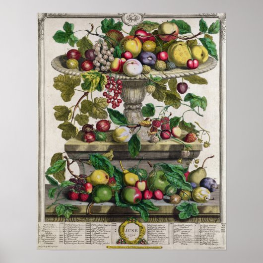 Juni, 'Twaalf maanden fruit' Poster (Voorkant)