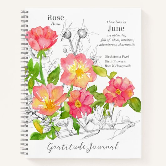 Juni Verjaardag Roze Wild Roos Dankbaarheid Journa Notitieboek (Voorkant)