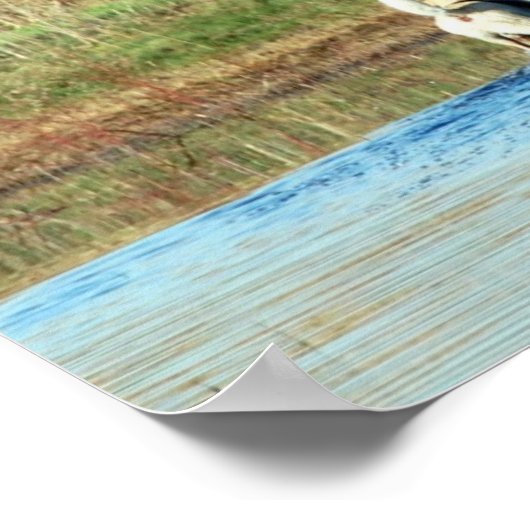 Junior Hunter Poster (Hoek)