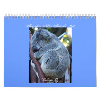 Junior Koala Calendar Kalender