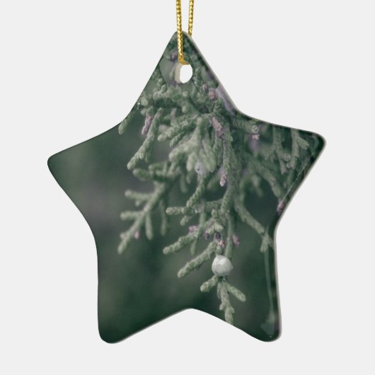Juniper Berries Keramisch Ornament (Links)
