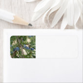Juniper Berry Adresetiketten Etiket (Insitu)