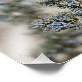 Juniper berry fotografie foto afdruk (Hoek)