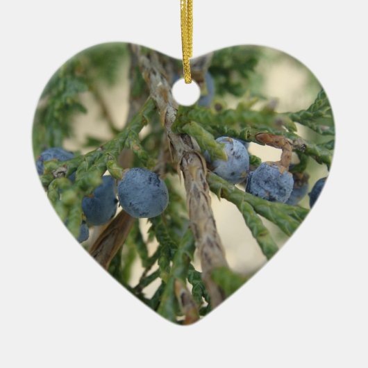 Juniper Berry Ornament (Voorkant)