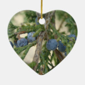 Juniper Berry Ornament (Achterkant)