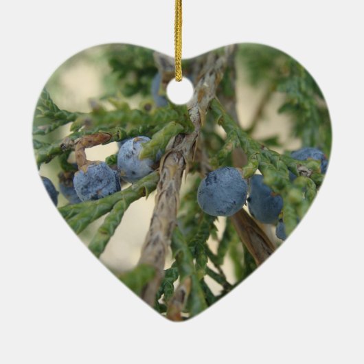 Juniper Berry Ornament (Achterkant)