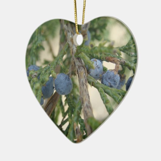 Juniper Berry Ornament (Links)