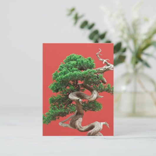 Juniper bonsai briefkaart (Staand voorkant)